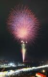 初夏の大輪７万人魅了　