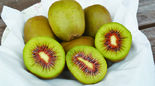 甘みたっぷりレッドキウイ JAかみつが　落合直売所