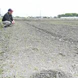 水不足で田植えできず　排水路工事で不具合、水量回復に数日　真岡、芳賀、…