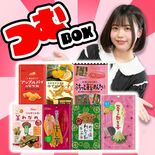 アイドルお薦め７種の菓子セット　矢板・壮関が発売