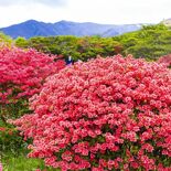 つつじ園地を手ぶらで散策　那須のリゾートホテル「休暇村那須」がプログラ…