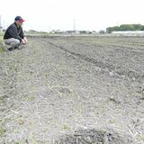 水不足で田植えできず　排水路工事で不具合、水量回復に数日　真岡、芳賀、宇都宮の一部