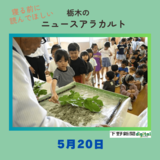 5月20日の栃木県内ニュース　「小山・絹義務教育学校で蚕のお迎え式」など３本をお届けします
