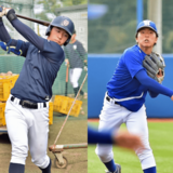 関甲新学生野球春季１部あす開幕　白鴎大・作新大、県勢２チームの展望