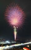 初夏の大輪7万人魅了