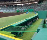 甲子園に転落防止ネット