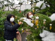 恒例のサナギツリー　真岡の井頭公園