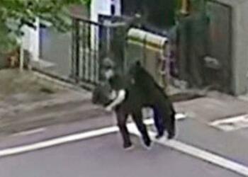 福島市内でクマ、4人負傷