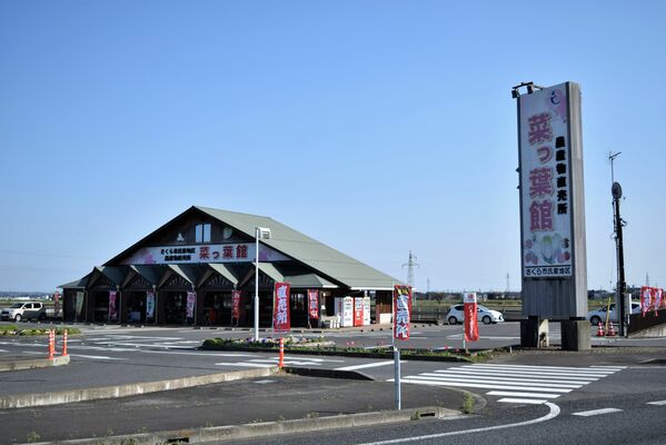 セブンハンドレッドが指定管理者となった「菜っ葉館」＝さくら市
