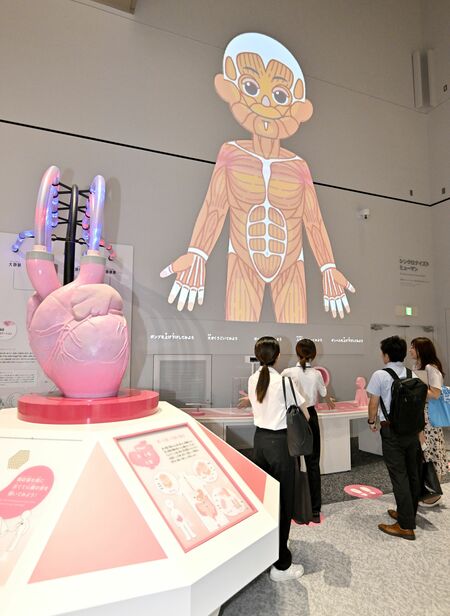 壁面に巨大な人型を投影し、人体の仕組みを解説する「シンクロナイズドヒューマン」=3日午後、宇都宮市西川田町