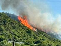 広島・福山で山林火災