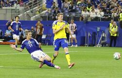 Ｗ杯スウェーデン戦は３５・０％