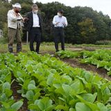 有機野菜販売のベジファーム　農地活用へ組織設立　農業体験やイベント展開　壬生