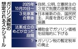 ガソリン減税 議論加速