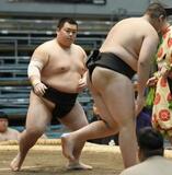 前相撲、班分けせずに