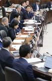 ９条巡り見解そろわず
