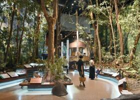 　第３展示室「自然のしくみ」では茨城県の山林がジオラマで再現されていた＝茨城県坂東市