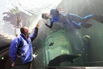 魚たちも再開待つ　県なかがわ水遊園