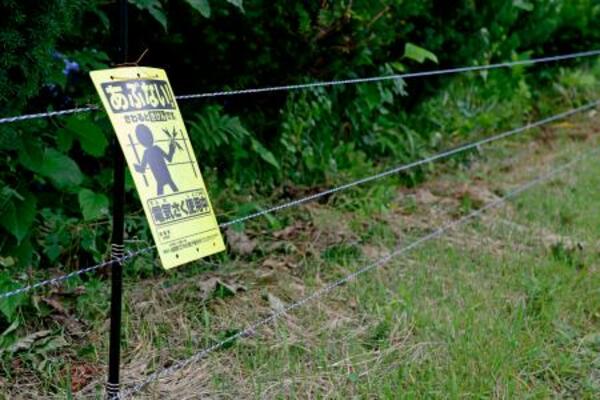 山本光雄さん宅に設置された、クマの侵入を防ぐ電気柵=7月、岩手県雫石町