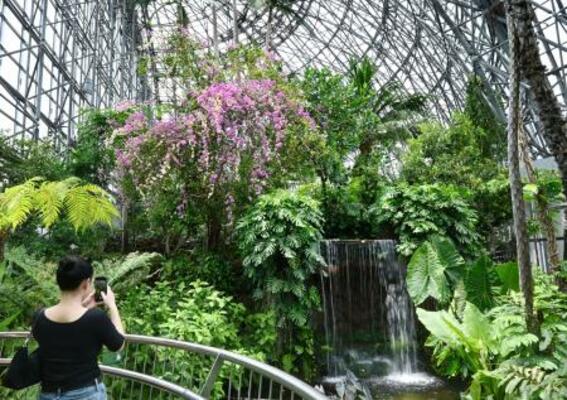 　夢の島熱帯植物館の大温室。池に滝が流れ落ちている＝東京都江東区
