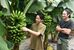 市産バナナの栽培に挑んでいる豊田さん（右）と長谷川さん