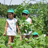 「幼い頃から農に触れる機会」５年に　日光の宝珠保育園　直売、農副連携にも広がり