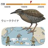 「戦争」が変えた運命