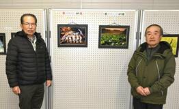 市貝の魅力 鮮やかに撮影　