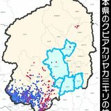 被害新たに2788本確認　クビアカツヤカミキリ　県内2024年度、初の減少も15市町に拡大