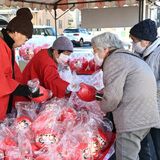 297店ずらり、1.1キロの歩行者天国にぎわう 鹿沼で伝統の「花市」