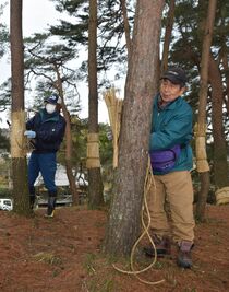 「こも外し」で春支度