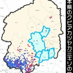 被害新たに2788本確認　クビアカツヤカミキリ　県内2024年度、初の減少も14市町に拡大