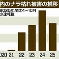 栃木県内ナラ枯れ、初の減少か 被害樹木9702本で前年比3割減 被害地域は24市町に拡大