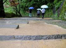 竹の利活用、海外から注目