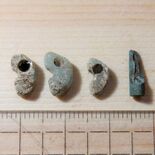 弥生時代の勾玉や管玉か　矢板の「町東遺跡」発掘調査　多数出土、県内で最古