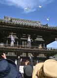 唐招提寺にハート形うちわ舞う
