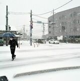 日光市に大雪警報　24日夜遅くまで交通障害などに警戒を