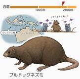 外来の「仲間」がほろぼす