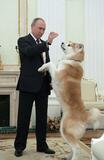 【独自】プーチン大統領の秋田犬死ぬ