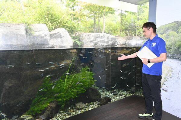 那珂川の環境を再現した半屋外の展示水槽