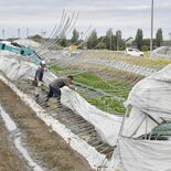 小山や真岡などで突風、大雨　住宅や建物 37棟被害、農業用ハウス損壊は…