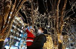 並木道彩る48万個の光、仙台