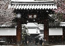 栃木県内全域で雪　ＪＲ日光線で運転取り止め、休校も【動画】