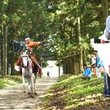 「馬も射手もかっこよかった」　那須神社で例大祭、弓名手「与一」ゆかりの流鏑馬奉納