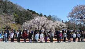 孝子桜まつり 新入生歓迎　宇都宮