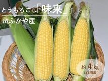甘み際立つ埼玉県産とうもろこし「味来」を産地直送通販サイト「ＪＡタウン」で予約販売中！