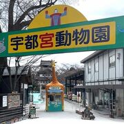 動物が“いい顔”する園に　民間初の「登録博物館」となった宇都宮動物園　何が変わる？