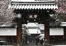 栃木県内各地で雪