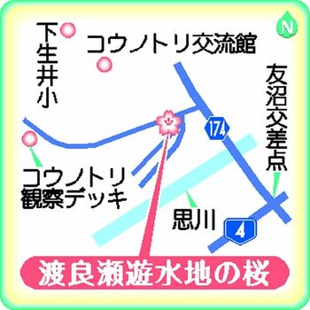 栃木市小野寺産　　〔春蘭〕 値下げしました。 栃木市小野寺産 〔春蘭〕 値下げしました。 【公式通販】