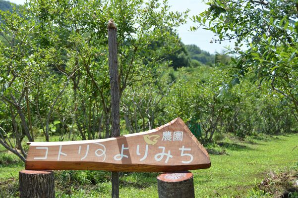 畑の入り口に掛けられた真新しい看板